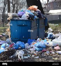 Wolf Lake, MI Junk Removal Services Company