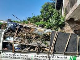 Best Foreclosure Cleanout  in Wolf Lake, MI